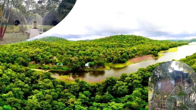 Kevdi Eco Tourism Campsite