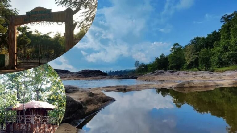 Padamdungari Eco-Tourism